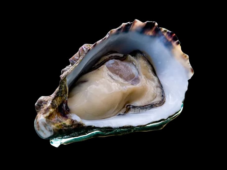 Pacific-Oyster-PNG-Image