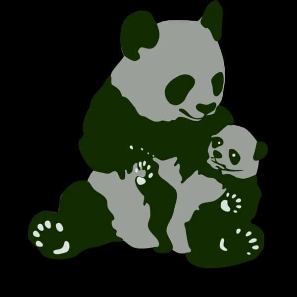 Panda Bear, Mammal, Endangered, Black And White, Conservation PNG