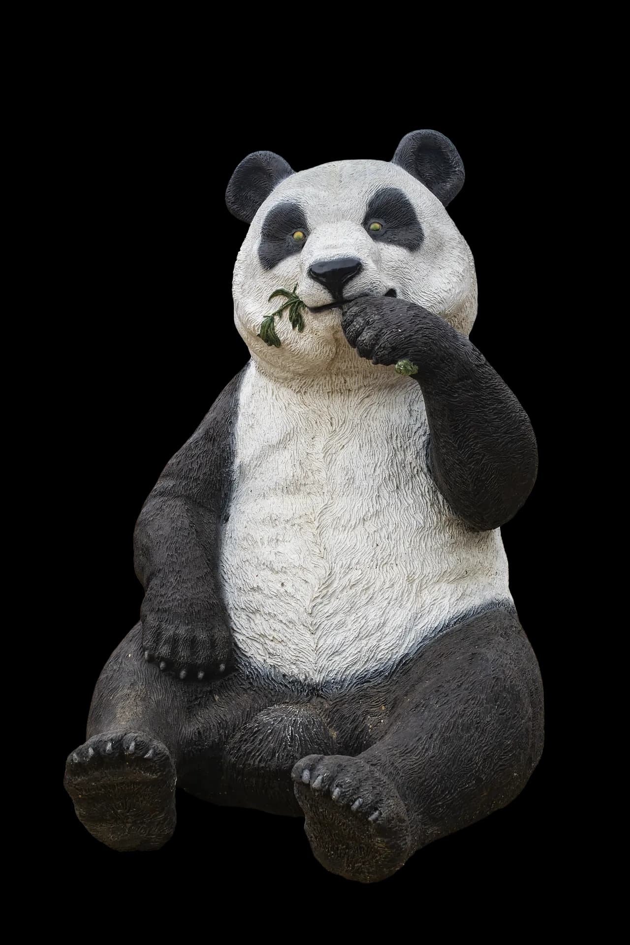 Panda Bear, Nature, Animal, Wildlife, Conservation PNG