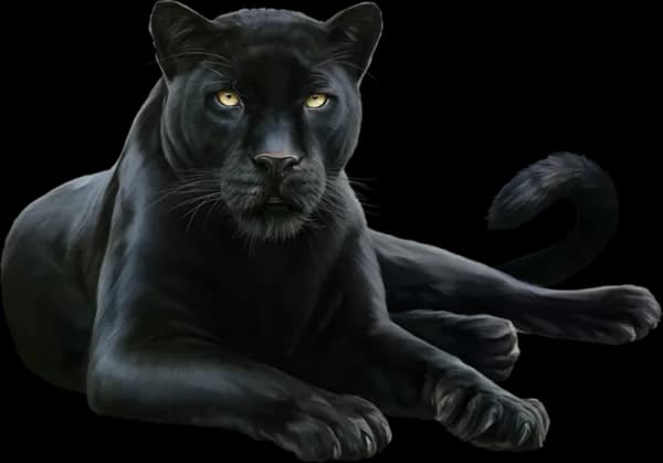 Panther, Feline, Wild, Black, Animal PNG