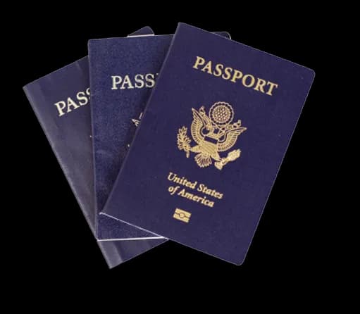 Passport, Travel, Immigration, Entry, Identification PNG