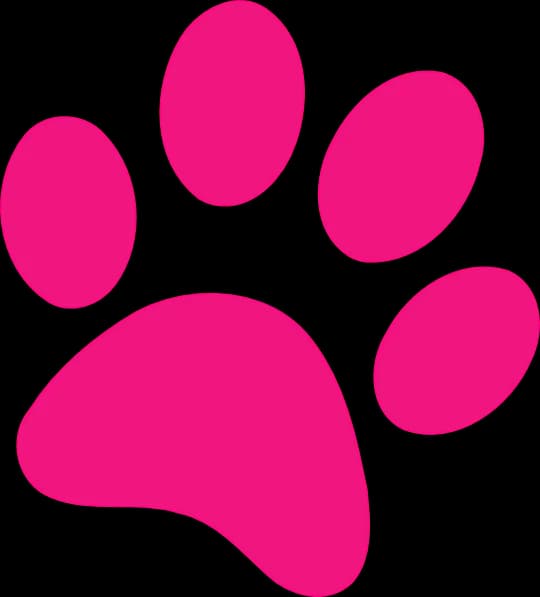 Paw-Print-PNG-Isolated-Pic
