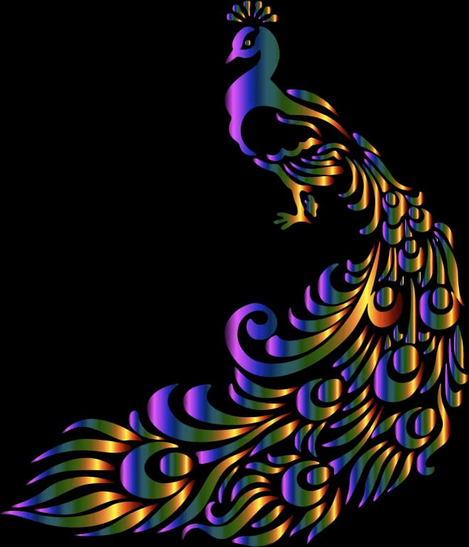 Peacock-PNG-Transparent-Picture
