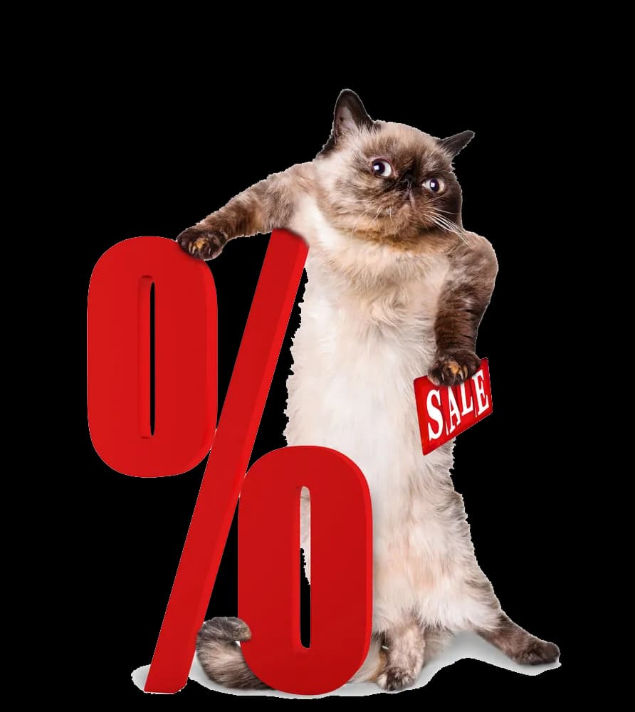 Percentage-PNG-Clipart