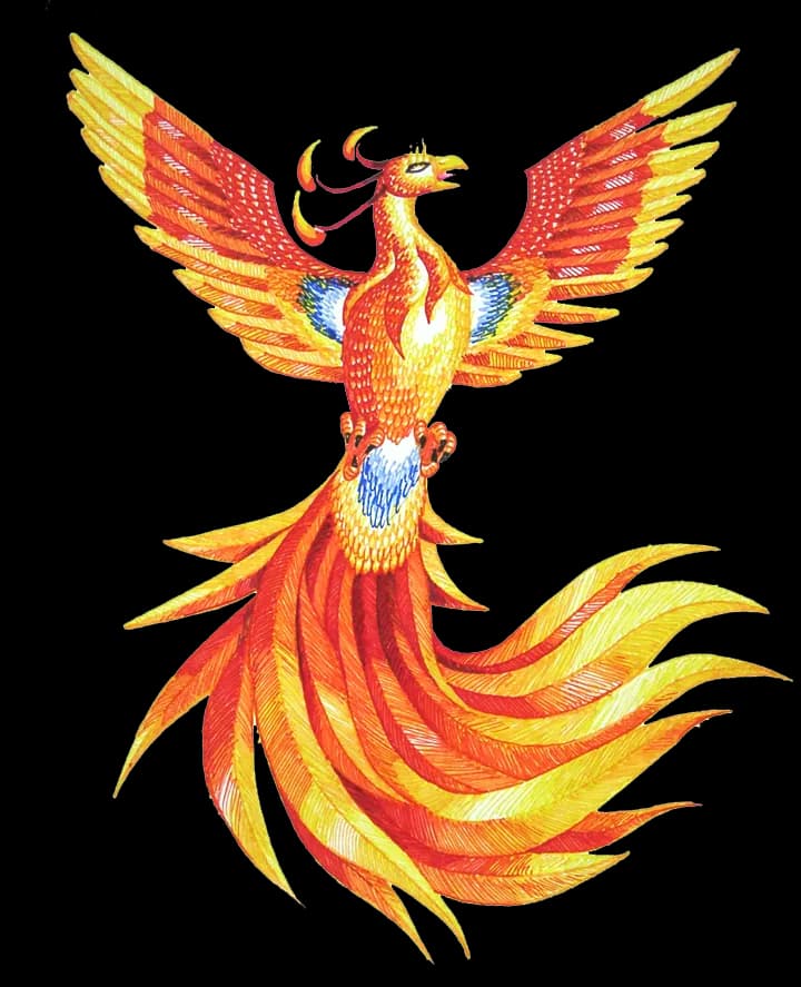 Phoenix-PNG-HD