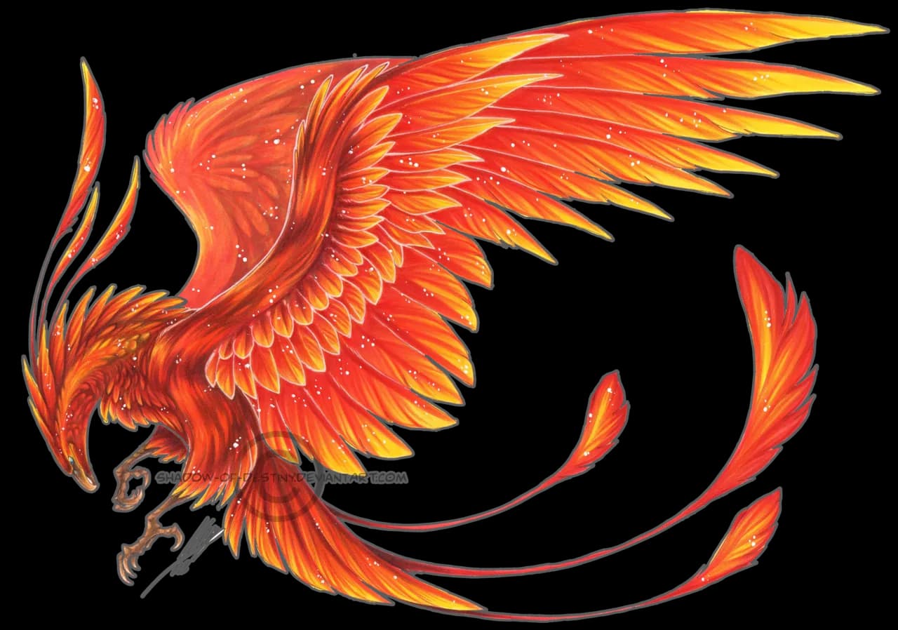 Phoenix-Transparent-PNG
