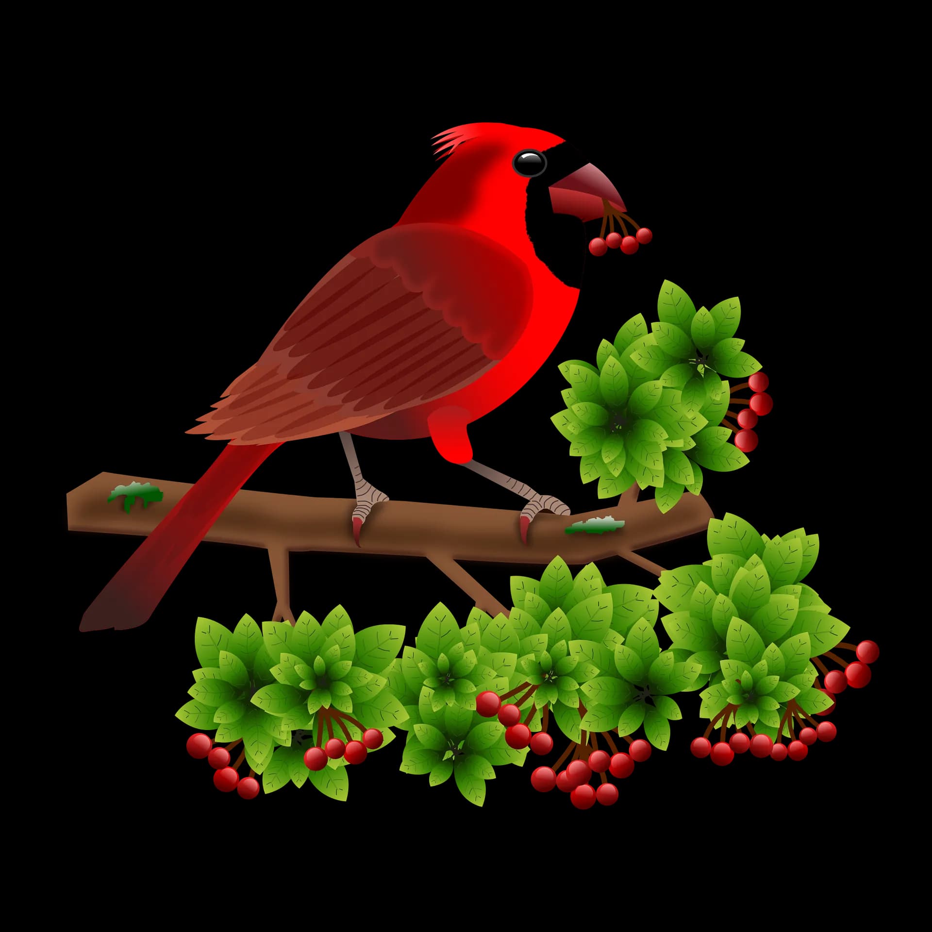 Pied-Northern-Cardinal-PNG-Isolated-HD