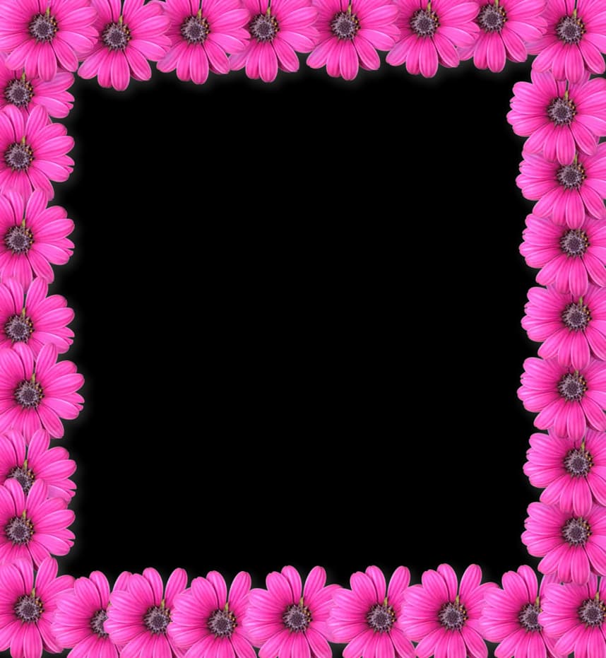 Pink-Flower-Frame-PNG-Photo