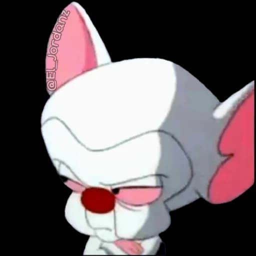 Pinky-And-The-Brain-PNG-Photos