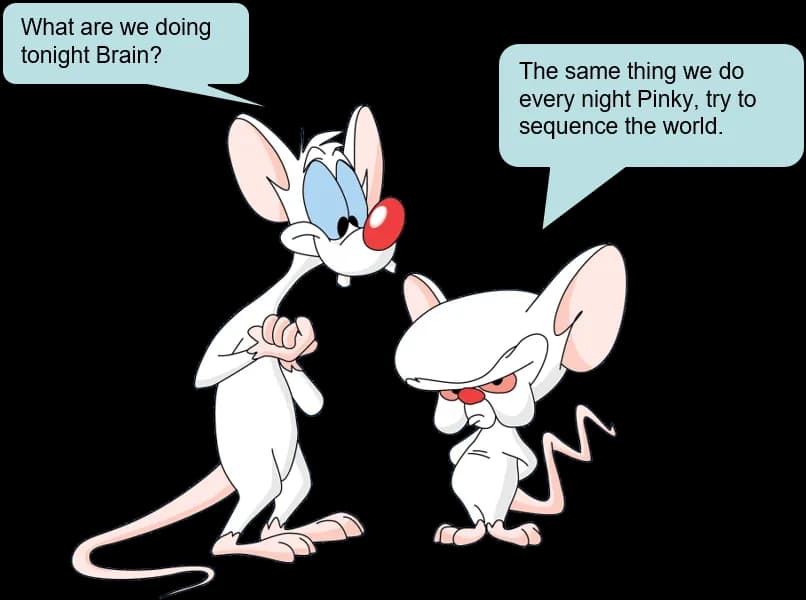 Pinky-And-The-Brain-PNG-Pic