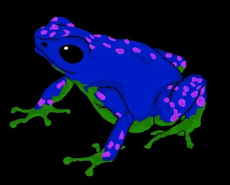Poison-Dart-Frog-Transparent-Images-PNG