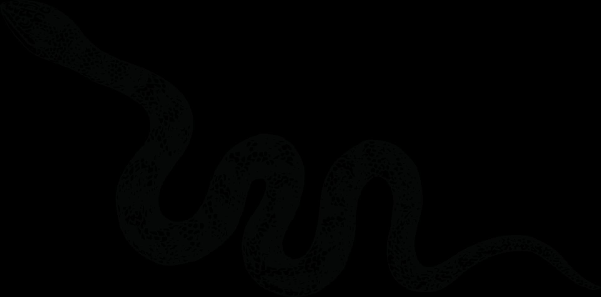 Poisonous Snake, Ecology, Behavior, Habitat, Predators PNG