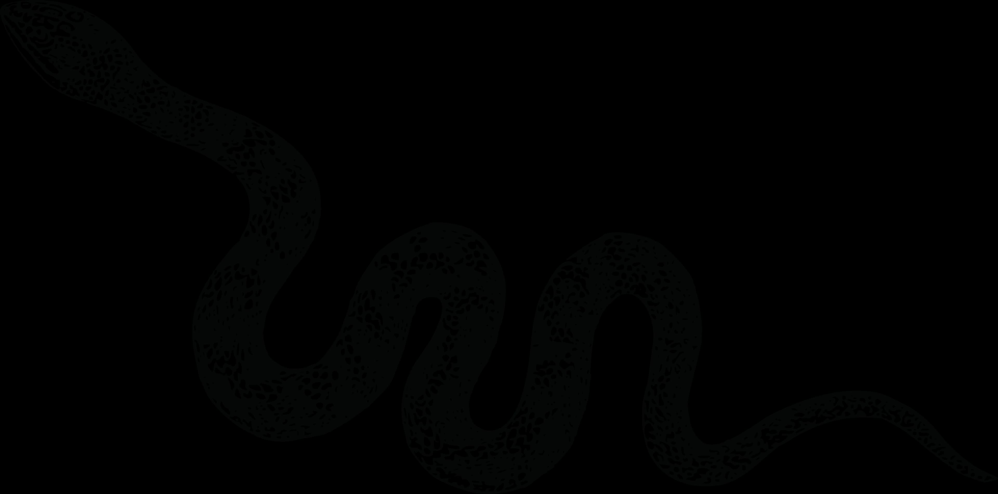 Poisonous-Snake-PNG-Pic