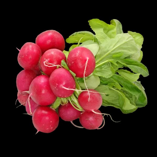 Radish-PNG-Background-Image