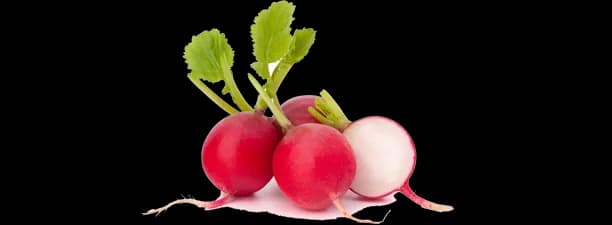 Radish-Transparent-Background