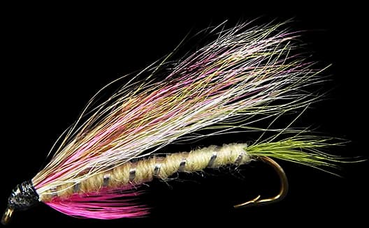 Rainbow-Trout-PNG-HD