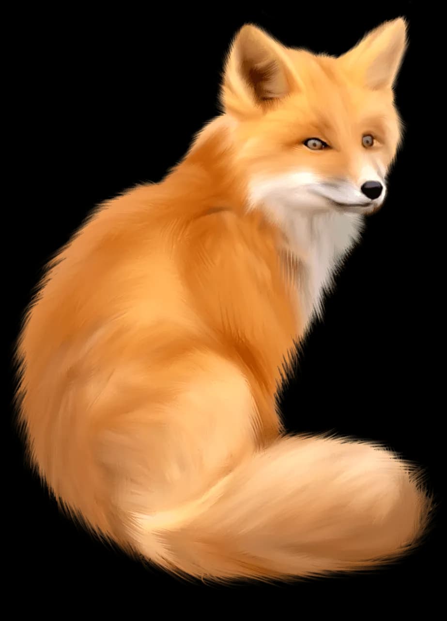 Red-Fox-PNG-Isolated-Photo