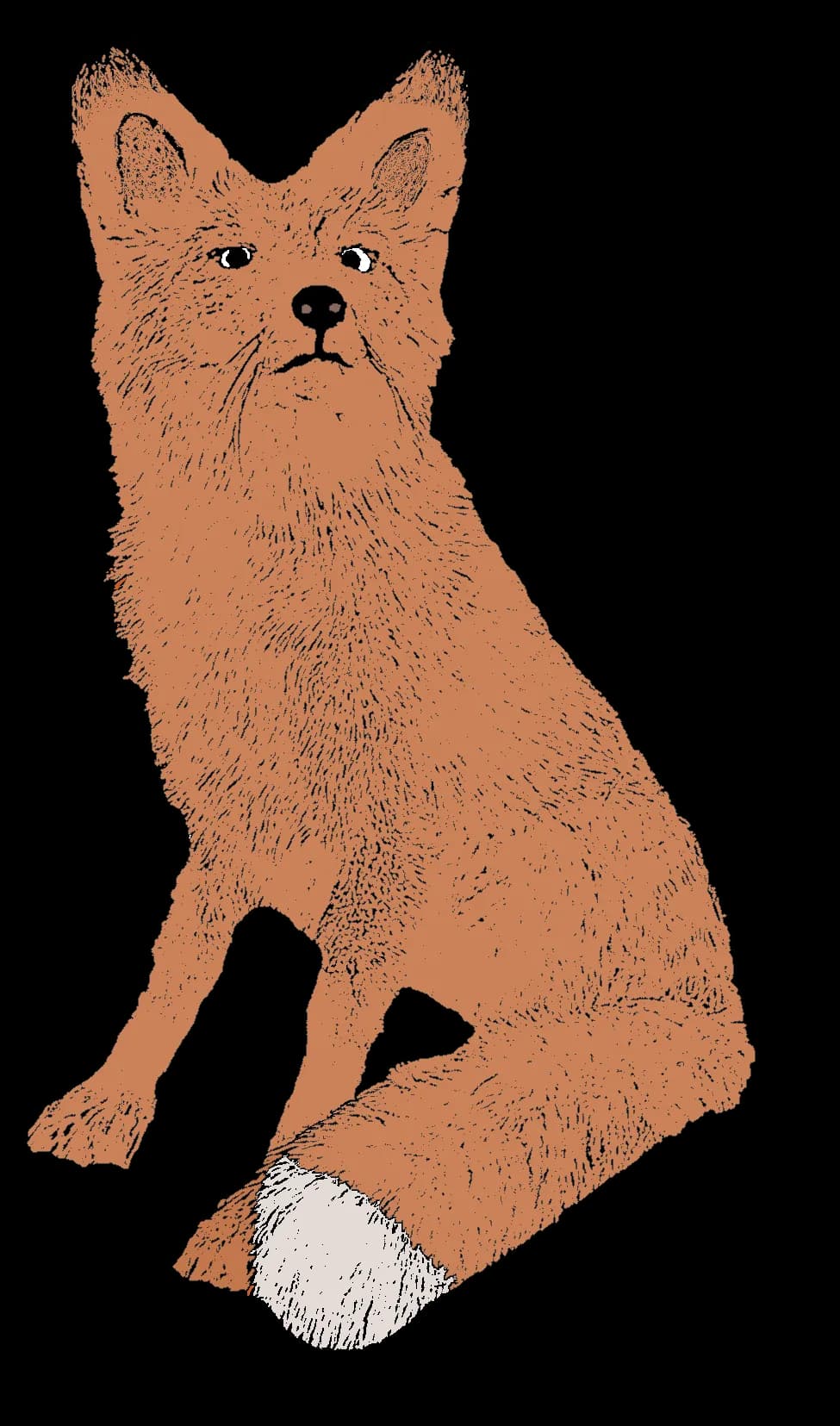 Red-Fox-PNG-Transparent