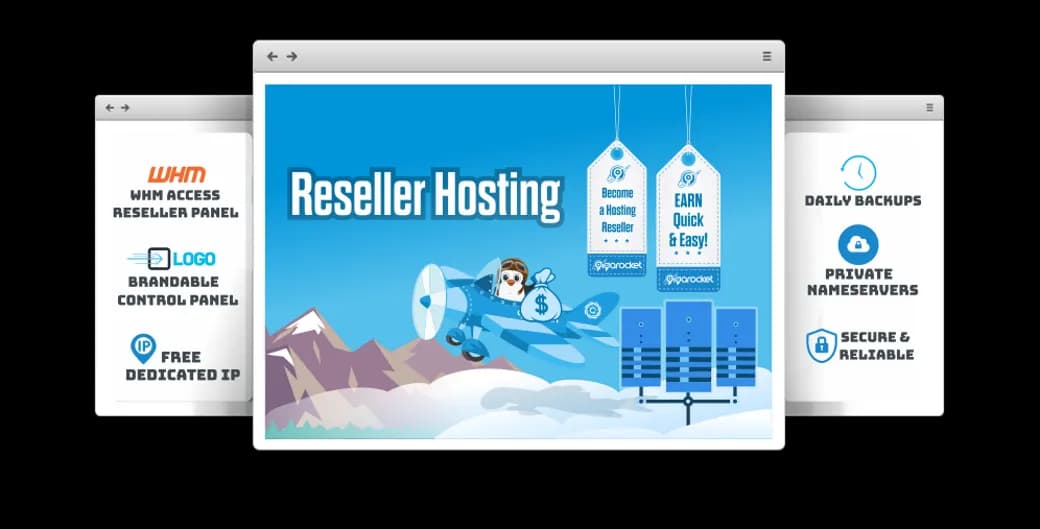 Reseller Hosting, Control Panel, Hosting Solutions, VPS Hosting, Managed Services PNG