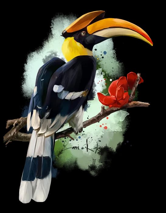 Rhinoceros Hornbill, Rainforest Habitat, Cultural Symbol, Strong Beak, Exotic Wildlife PNG
