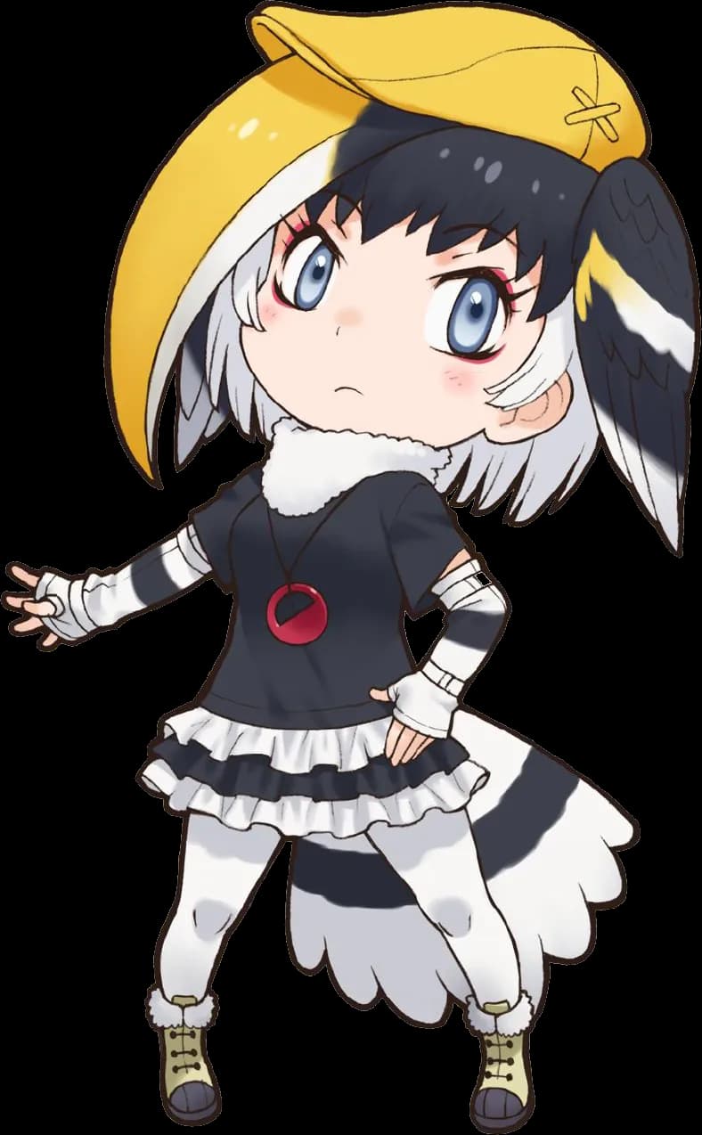 Rhinoceros-Hornbill-PNG