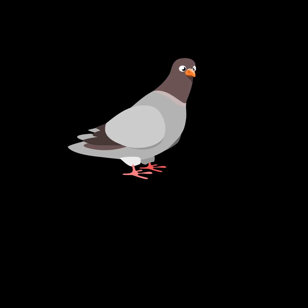 Rock-Dove-PNG-Isolated-HD