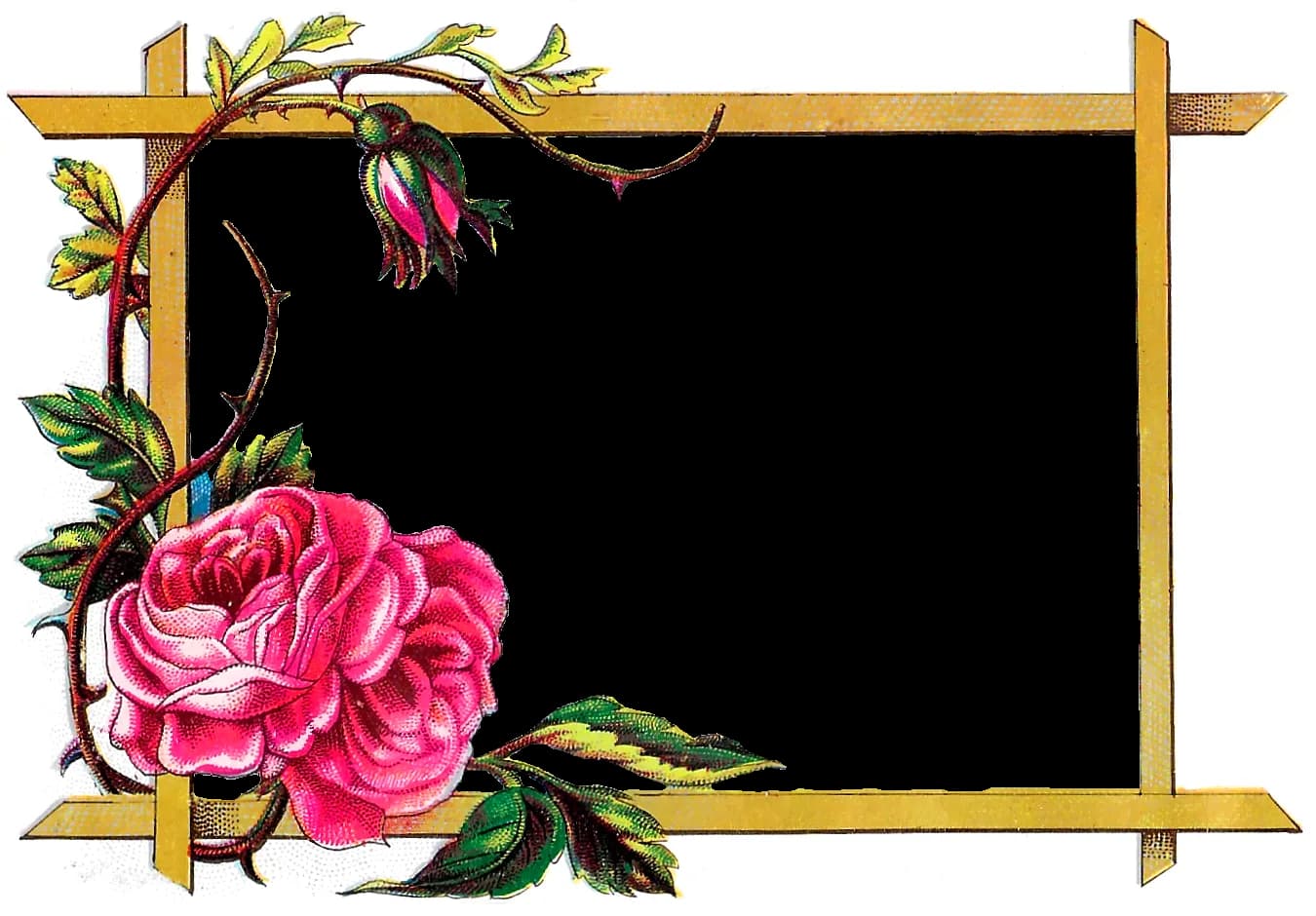 Rose-Frame-PNG-Photos
