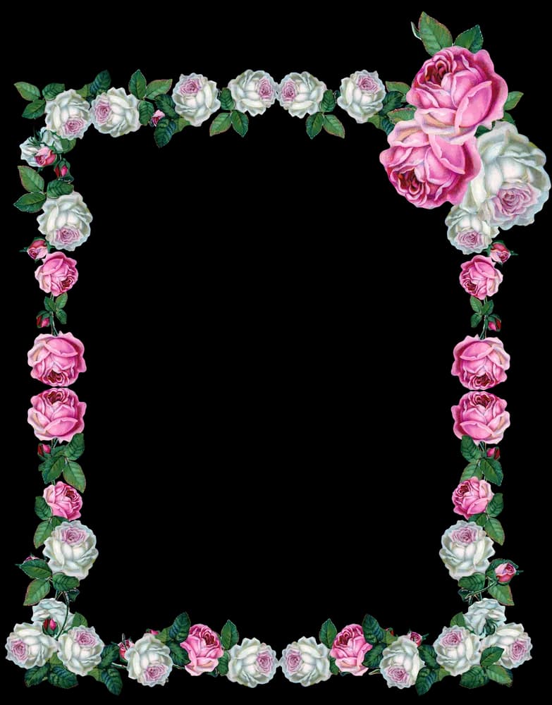 Rose-Frame-PNG-Pic