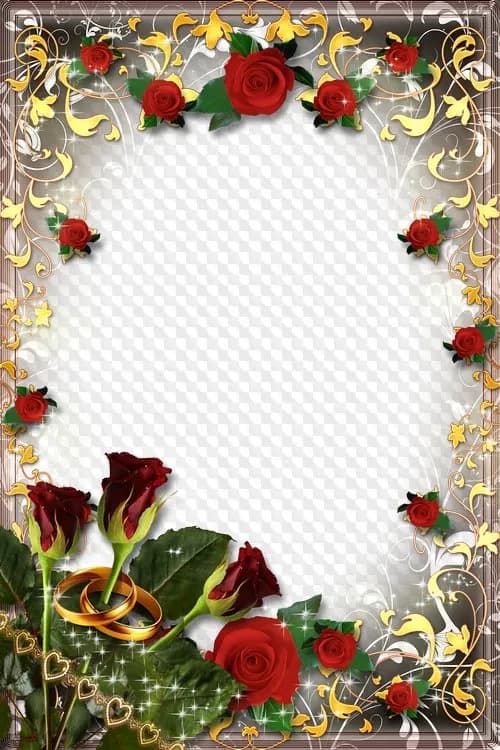 Rose-Frame-Transparent-PNG