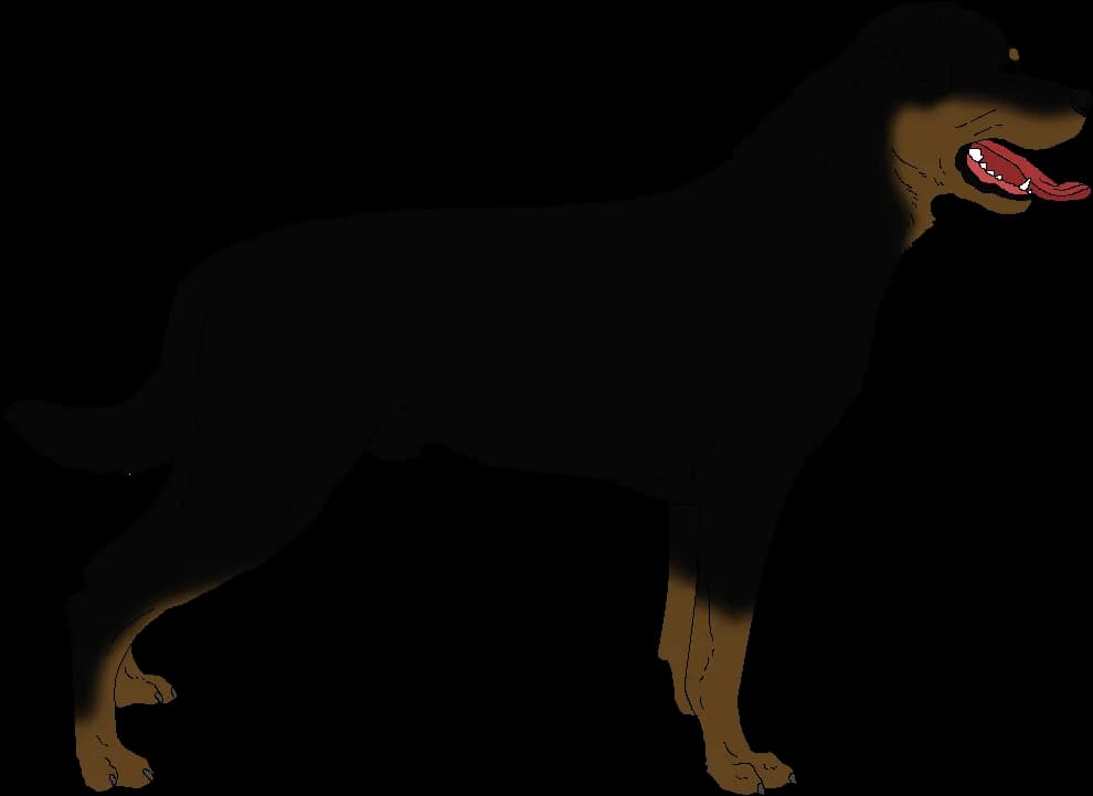 Rottweiler, Strong, Dog, Family, Protective PNG