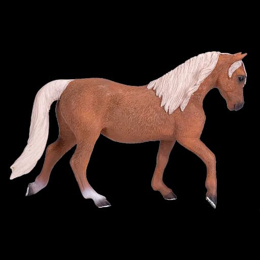 Running-Morgan-Horse-PNG-Clipart
