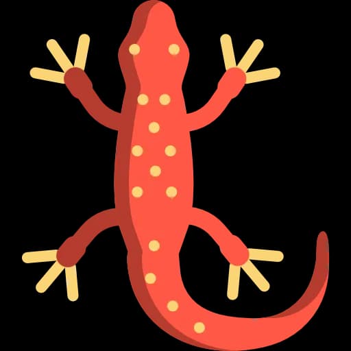 Salamanders, Ecosystem, Behavior, Habitat, Cold-Blooded PNG