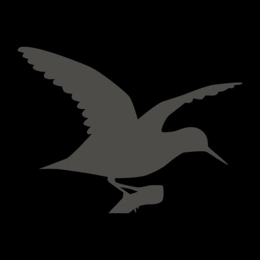 Sandpiper-PNG-Isolated-Pic