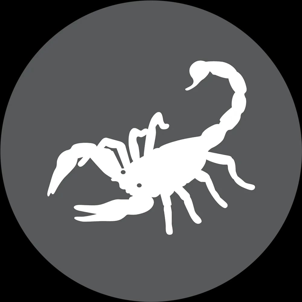 Scorpion-Arachnids-Download-PNG-Image