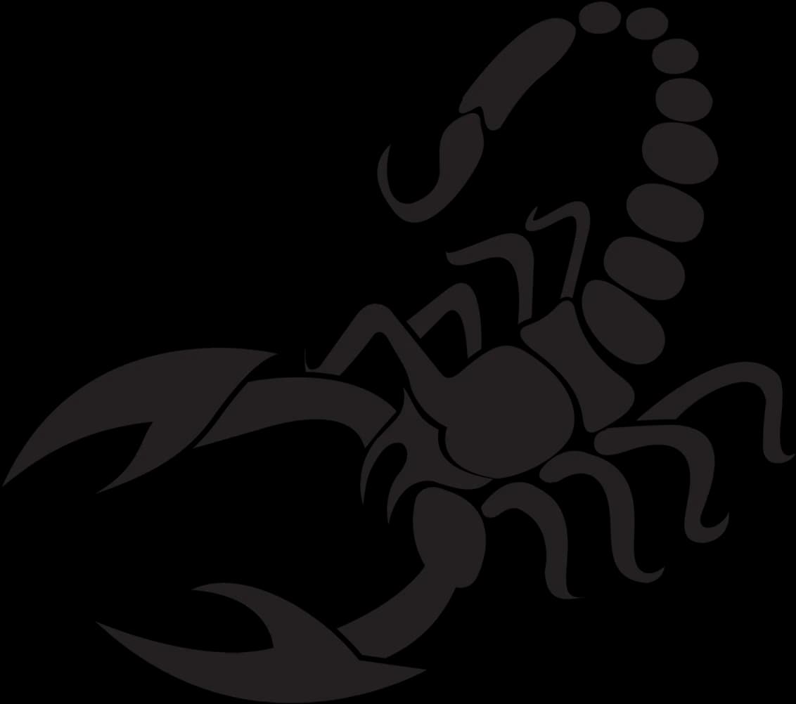 Scorpion Arachnids, Nocturnal Hunters, Exoskeleton Predators, Venomous Creatures, Arthropod Species PNG
