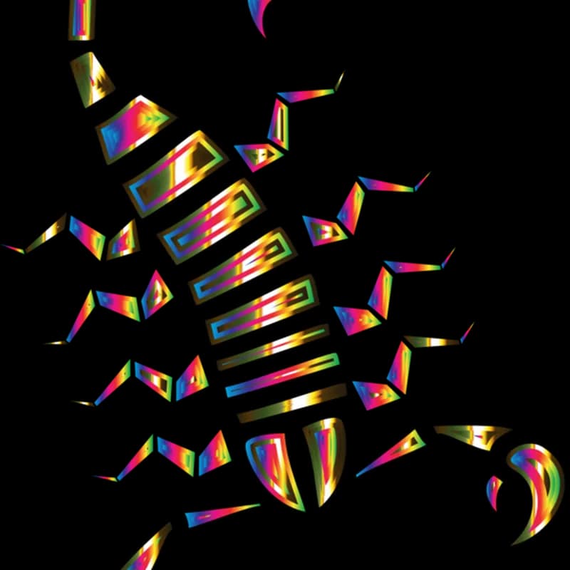 Scorpion-Arachnids-PNG-Photos