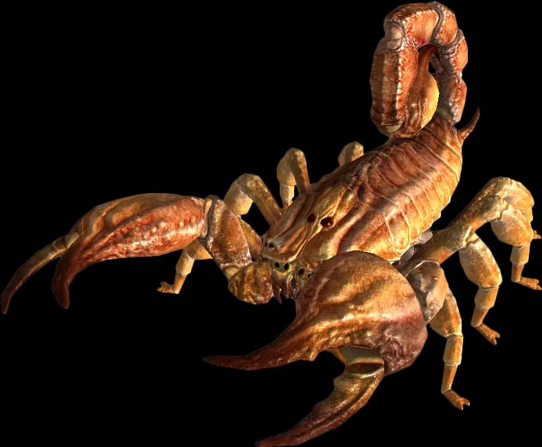Scorpion-Arachnids-PNG