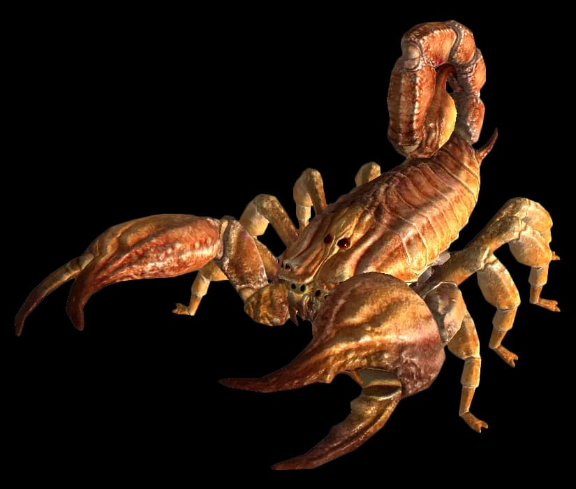 Scorpions-PNG-Isolated-Transparent