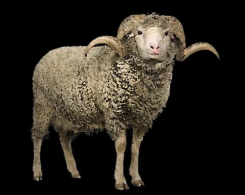 Sheep-PNG-Pic-Background