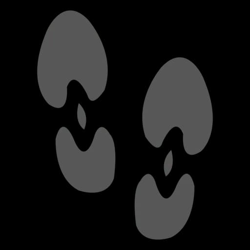 Shoe-Footprints-PNG-Clipart