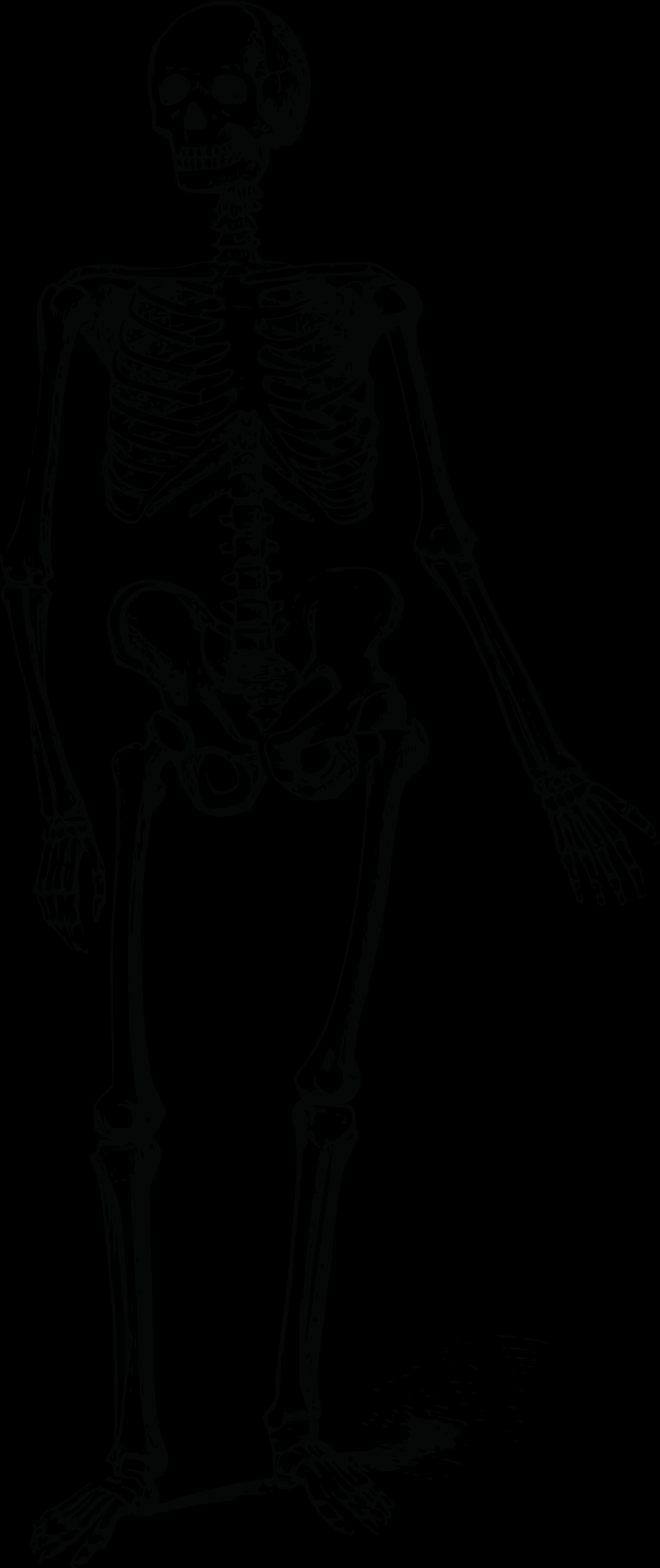 Skeleton-Cartoon-PNG-HD-Isolated