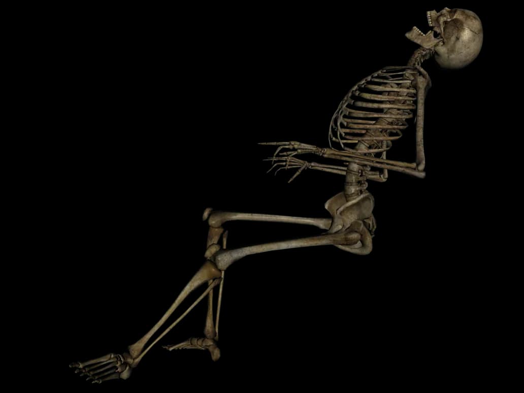 Skeleton Cartoon, Halloween Theme, Whimsical Art, Bone Structure, Animated Humor PNG