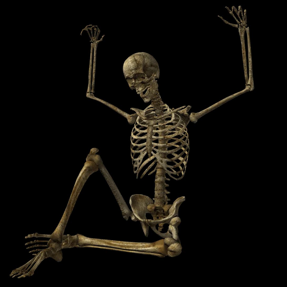 Skeleton Cartoon, Halloween, Spooky, Creative, Animation PNG