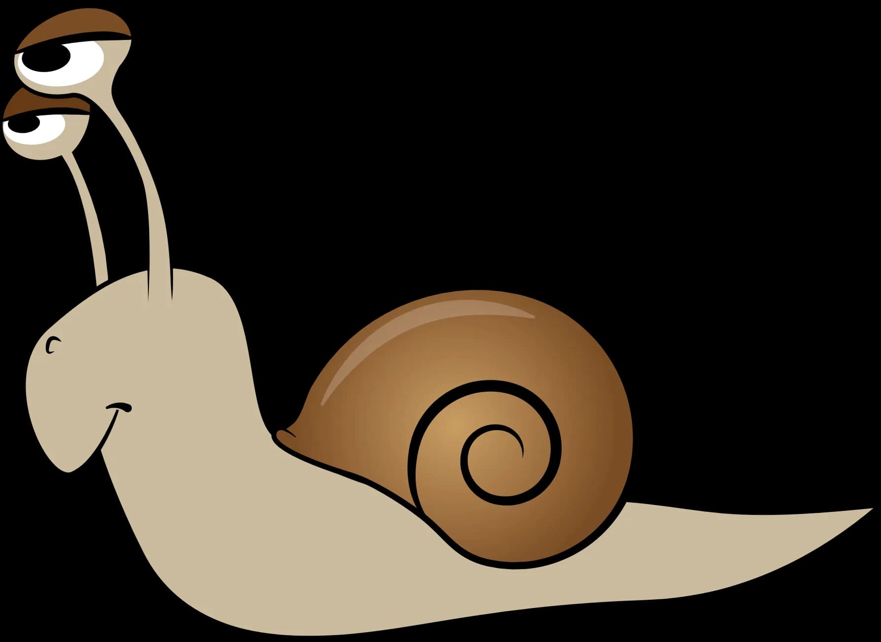 Snail, Coastal, Shell, Creatures, Garden PNG