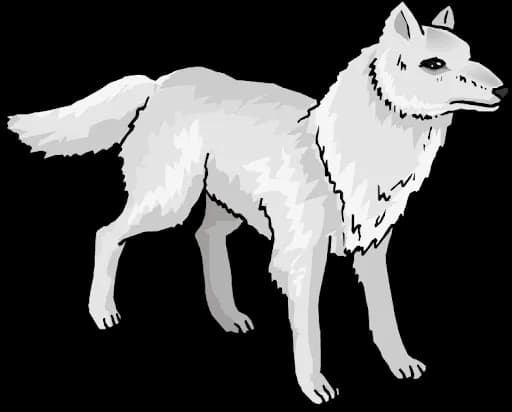 Snow-Arctic-Fox-Download-PNG-Image