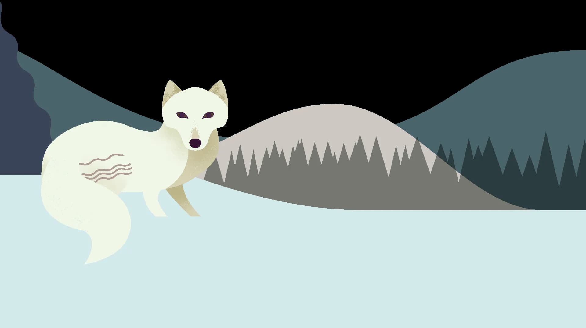 Snow-Arctic-Fox-PNG-Transparent-HD-Photo