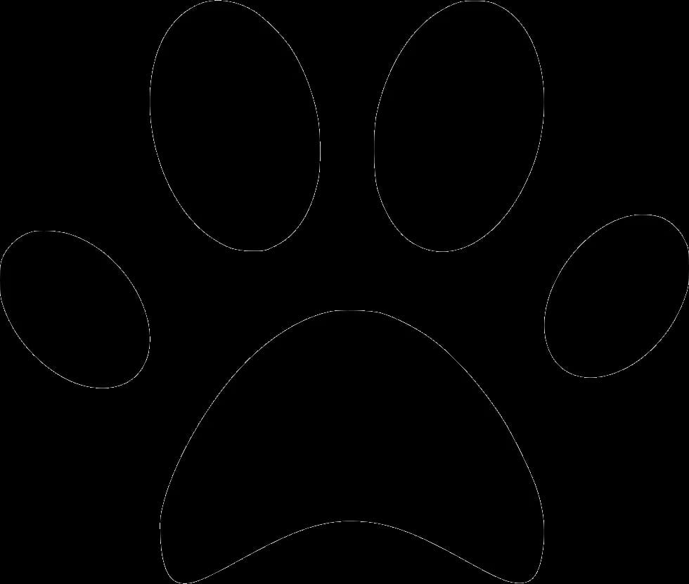 Vector Animal Footprint, Wildlife Tracks, Nature Patterns, Animal Paw Marks, Footprint Symbols PNG