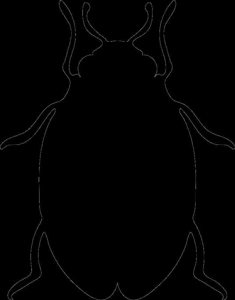 Vector-Bed-Bug-Transparent-Background