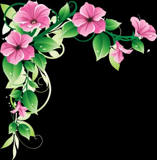 Vector-Funeral-Frame-PNG-Transparent-Image