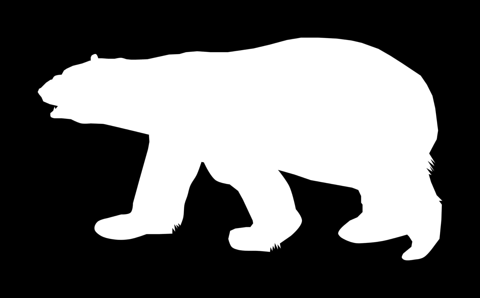 Vector Polar Bear, Logo, Nature, Ice, Symbol PNG